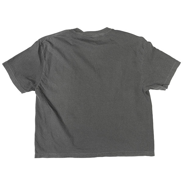 Professional studio photo of Fasthouse Renown Crop Tee (Womens); showing tee fit, printed graphics, and crew neckline; SKU 32116905; Colors: Pepper
