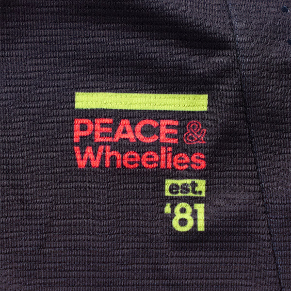 Studio photo on a white background of Troy Lee Designs - SE Pro Roam Jersey; showing fabric texture, panel layout, and graphics; SKU 3017720; Sizes: S-2XL