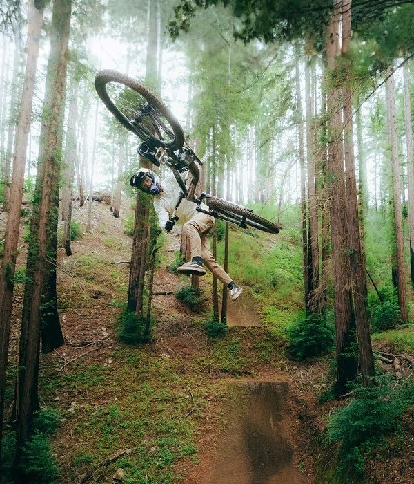 Mountain Bike collection