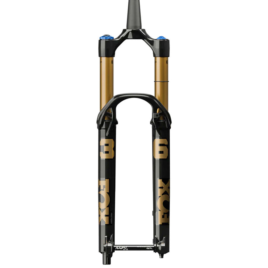 Fox Shox - Fox 36 Factory 29