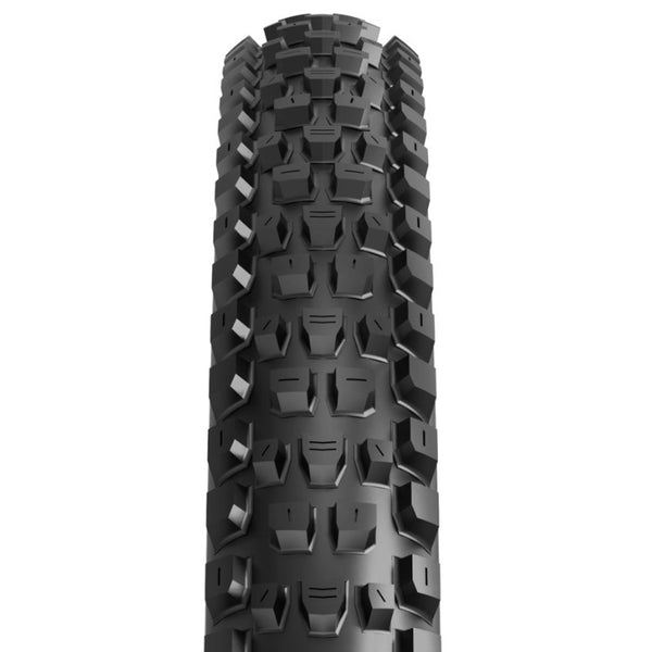 Maxxis - Dissector II 29" Tire (MTB) - image 2 - alternate view