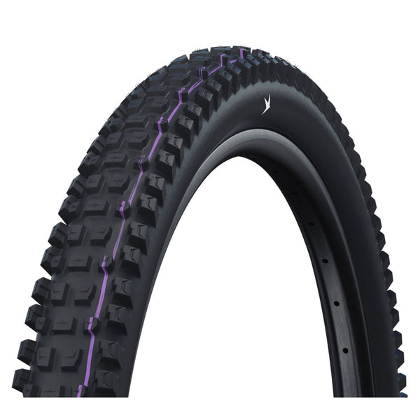 Schwalbe - Albert 29