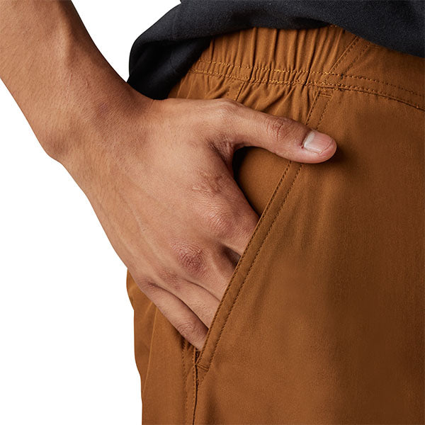 Fox Racing - Essex Volley Solid Shorts
