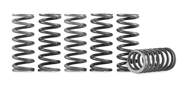 Hinson - Clutch Spring Kit (Suzuki)