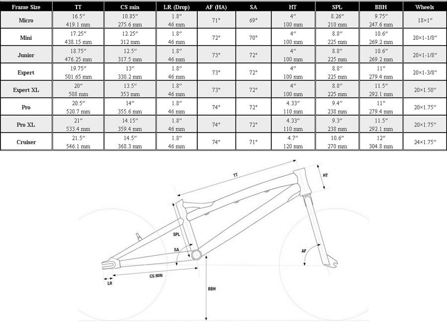 Chase - Edge BMX Complete Race Bike (BMX): BTO SPORTS